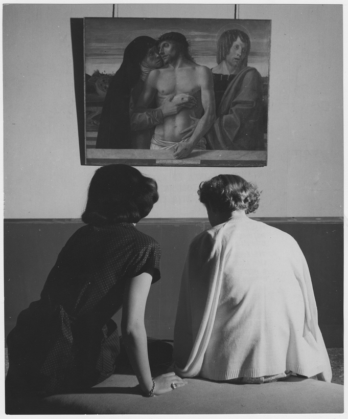 image attività Museo Rovati